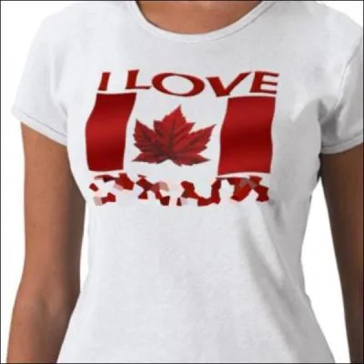 Tee shirt souvenir du :