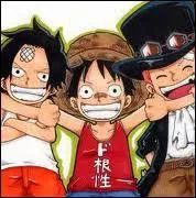 Comment s'appellent les deux frres de sang de Luffy ?