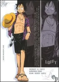 Comment s'appelle la femme qui aime Luffy ?