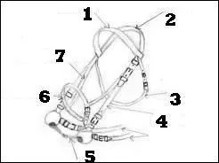 Que dsigne le numro 3 ?