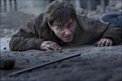 Voldemort ayant lanc un Avada Kedavra  Harry. Celui-cil ne meurt pas car il avait un Horcruxe sur lui. Qui ment  Voldemort en lui faisant croire que Harry est mort ?