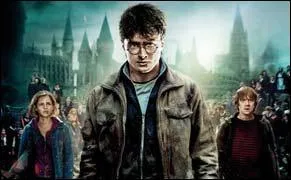 19 ans plus tard,  qui est mari Harry ?