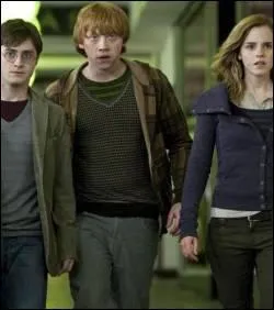 Une fois chez le frre de Dumbledore, Harry, Ron et Hermione voient apparatre quelqu'un dans un tableau : qui ?