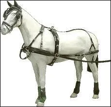 Que veut dire l'expression 'blanchir sous le harnais' ?