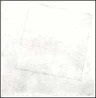 Qui a peint ''Carr blanc sur fond blanc ' ?