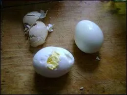 Le blanc de l'oeuf entoure et protge ce que nous appelons le jaune, mais quel est le nom exact du 'jaune d'oeuf' ?