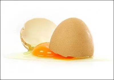 Dans un oeuf, qu'est-ce que l'albumen ?