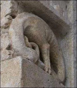 Comment appelle-t-on ce petit dragon trs venimeux, couronn d'un grenat, qui raffole de la musique ?