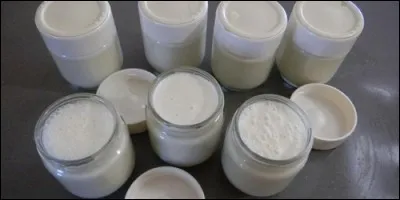 Comment appelle-t-on la réaction biologique qui transforme le lait en yaourt ?