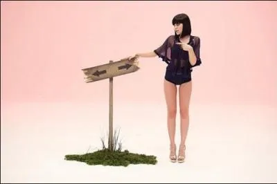 Qu'est-ce qui tombe de l'arbre du clip 'Price tag' de Jessie J ?