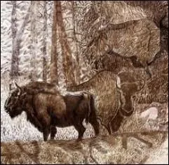 En quelle anne les aurochs ont-ils dfinitivement disparu ?