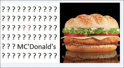 Quel est ce sandwich ?