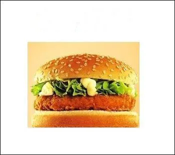 Quel est ce sandwich ?