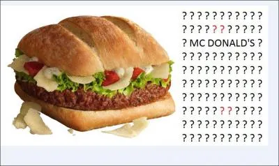 Quel est ce sandwich ?