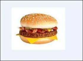 Quel est ce sandwich ?