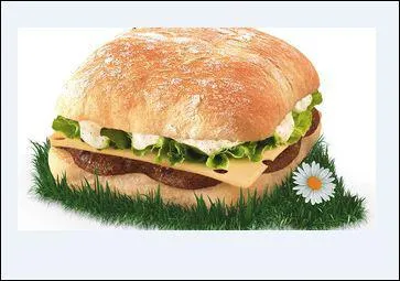 Quel est ce sandwich ?