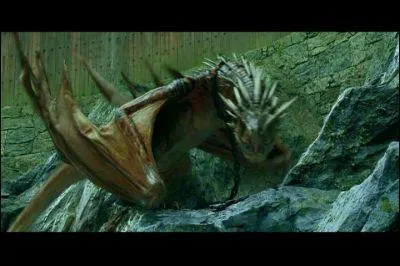 Quand est-ce que Harry affronte ce dragon ?