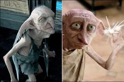 Que sont ces deux cratures ?