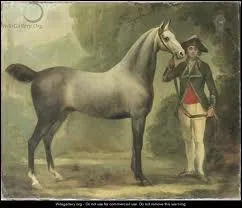 On tient son cheval :