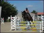 Saut ralis par un cheval :