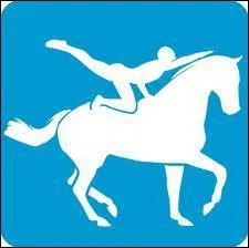 Gym  cheval :