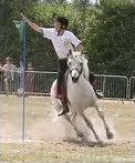 Quiz Galop 1