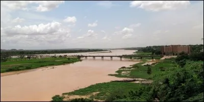 Quel fleuve africain dessine un delta intérieur en traversant les zones semi-arides du sud du Sahara ?