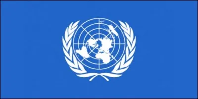 De quel arbre proviennent les deux rameaux présents sur le drapeau de l'O.N.U ?