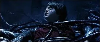 Lorsque Ron est pig dans le Filet du Diable, quelle est la phrase dont se souvient Hermione, qu'elle a lu en Herbologie ?