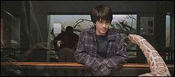 Lors de la sortie au zoo au début du film , comment Harry décrit-il les visages que le serpent doit regarder tout au long de ses journées à travers la vitre ?