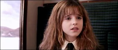 Que dit Hermione  Ron aprs que celui-ci ait tent de jeter un sort  son rat, Crotard, sans succs ?