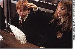 Au fameux cours de sortilges o l'on entend 'Wingardium Leviosa', qui sont les lves que l'on peut apercevoir derrire Ron et Hermione ?