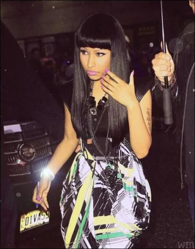 Comment appelle-t-on les fans de Nicki ?