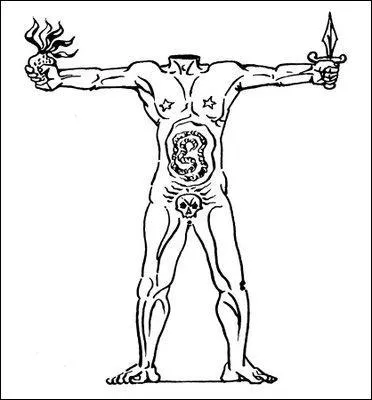 L'adjectif acphale dsigne les animaux dpourvus de tte. Parmi les suivants, lequel NE peut PAS tre qualifi ainsi ?