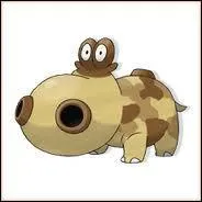 Quel est le nom de ce Pokmon ?