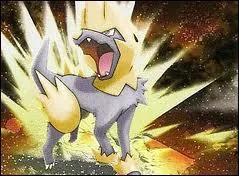 Quel est le nom de ce Pokmon ?