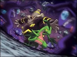 Qui sont ces Pokmon ?