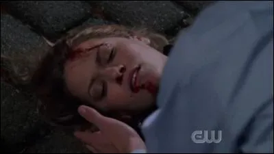 Qui a provoqu l'accident de Haley ?