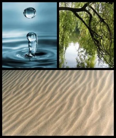 Quand dit-on qu'un animal est 'arnicole' ?