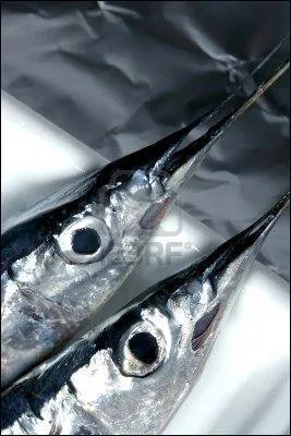 Ce poisson mince et long est une :