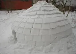 Qui construisent souvent les igloos ?