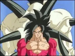 Quel est le nom de cette srie ?