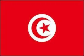 A quel pays appartient ce drapeau ?