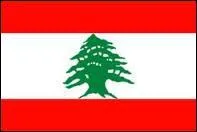 A quel pays appartient ce drapeau ?