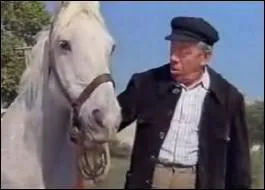 Dans le film 'Heureux qui comme Ulysse', dans les arènes de quelle ville Fernandel doit-il livrer Ulysse au Picador ?