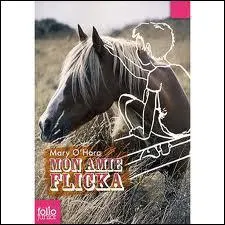 Dans 'Mon amie Flicka', qui est le cheval Banner ?