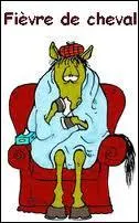 Que vous conseiller si vous avez une fièvre de cheval ?