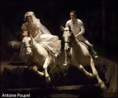 Comment se nommait le cheval de Bartabas ?