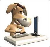 Si NWT a oublié un point d'interrogation dans ce quizz, soyez indulgent :