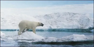 Sur quel continent se trouve le pôle Sud ?